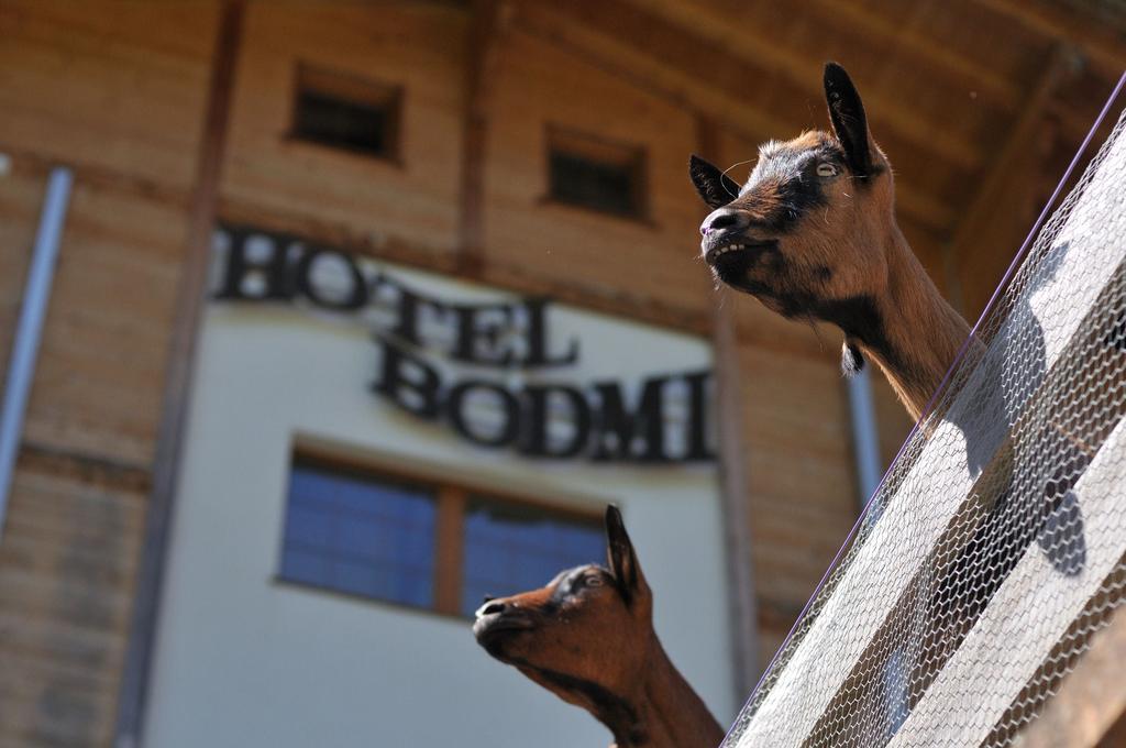Hotel Bodmi Grindelwald Exterior foto